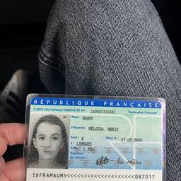 French ID Card Edit