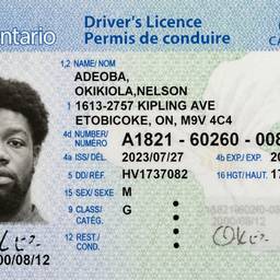 Straightened Driver's Licence Photo