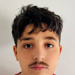 Add Moustache to Photo