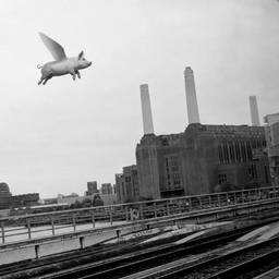 Flying Pig Over Battersea