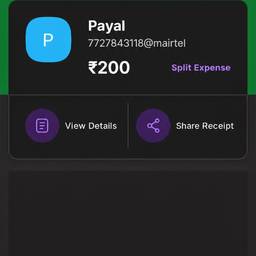 Payment Amount Edit