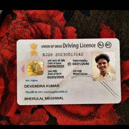Driving Licence Photo Swap