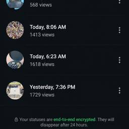 Dark Mode Status Screenshot