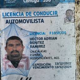 Driver's License Expiry Edit