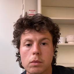Avant - Ajouter une Moustache à une Photo