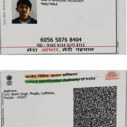 Aadhaar Card Year Edit
