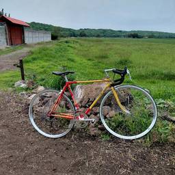 Chrome Rims Bike Edit