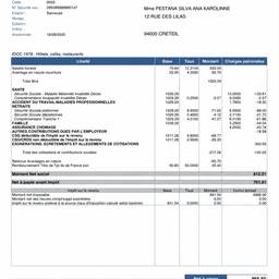 French Payslip Edit