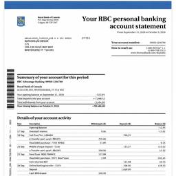 Bank Statement Balance Edit