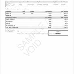 Pay Stub Document Edit