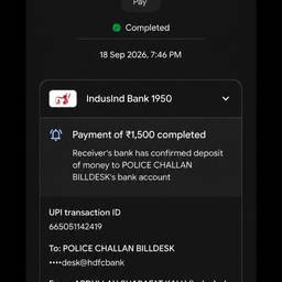 UPI Payment Date Edit