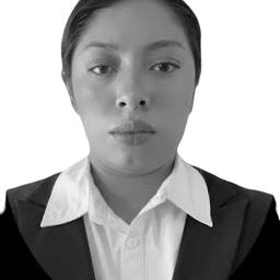 Remove Background Portrait