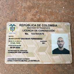 Antes - Edición realista de licencia de conducir