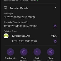 Before - Edit Payment Amount Screenshot