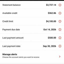 Credit Card Statement Edit