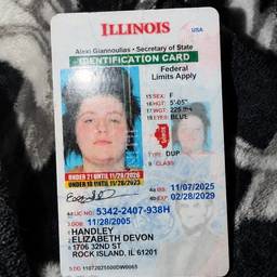 Illinois ID Date Change