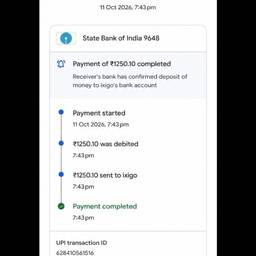UPI Payment Amount Edit