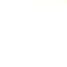 Soft White Gradient