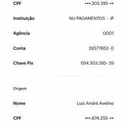 Edit Pix Transfer Receipt