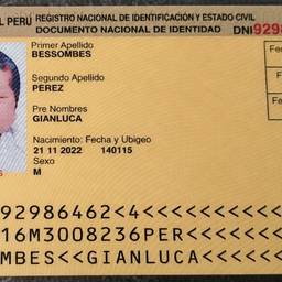 Peruvian DNI Date Edit