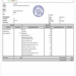 Payroll Slip Year Edit
