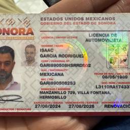 Antes - Edición de la fecha de vencimiento de la licencia mexicana