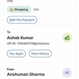 Edit UPI Payment Screenshot