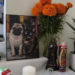 Día de Muertos Altar Photo