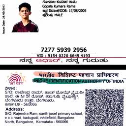 Aadhaar Card DOB Edit