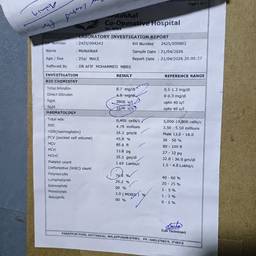 Lab Report Date Edit