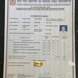 Before - Cricket Marksheet Edit