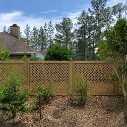 Backyard Lattice Fence Edit