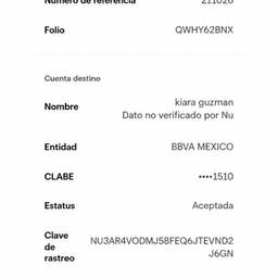 Bank Transfer Date Edit