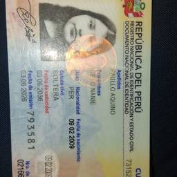 Antes - Edición del año en la tarjeta de identificación