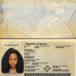 Passport Photo Replacement