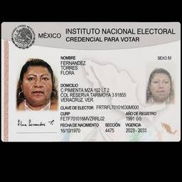 Straightened Voter ID Scan