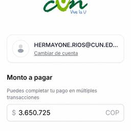 Payment Screenshot Amount Edit