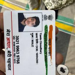 Voter ID DOB Edit
