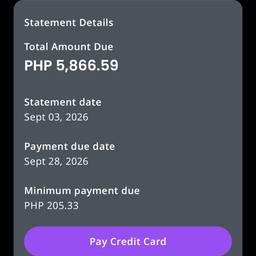 Before - Edit Invoice Due Date