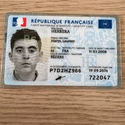 French ID Card Date Edit