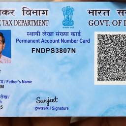 PAN Card Detail Editor