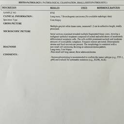 Antes - Editar nombre en informe médico