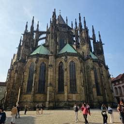 Cathedral Tourist Removal