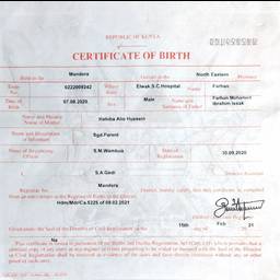 Birth Certificate Name Edit