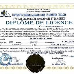 Edit Official Certificate With AI - Free Online Tool | ImageGPT