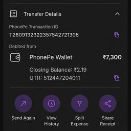 Edit Payment Amount Screenshot