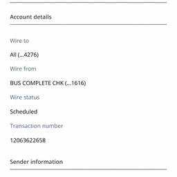 Wire Transfer Amount Edit