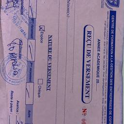Handwriting Removed from Receipt