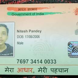 Before - Aadhaar Card Year Edit