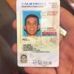 California ID DOB Edit